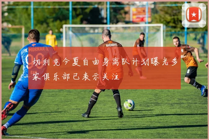 切利克今夏自由身离队计划曝光多家俱乐部已表示关注