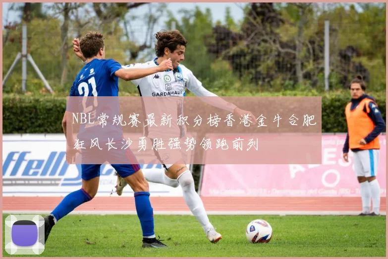 NBL常规赛最新积分榜香港金牛合肥狂风长沙勇胜强势领跑前列