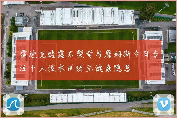 雷迪克透露东契奇与詹姆斯今日专注个人技术训练无健康隐患