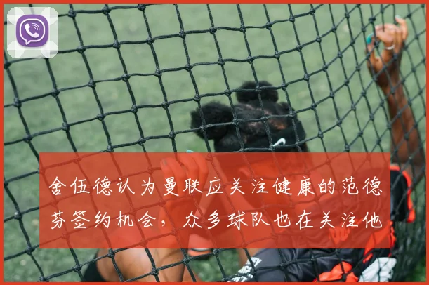 舍伍德认为曼联应关注健康的范德芬签约机会，众多球队也在关注他