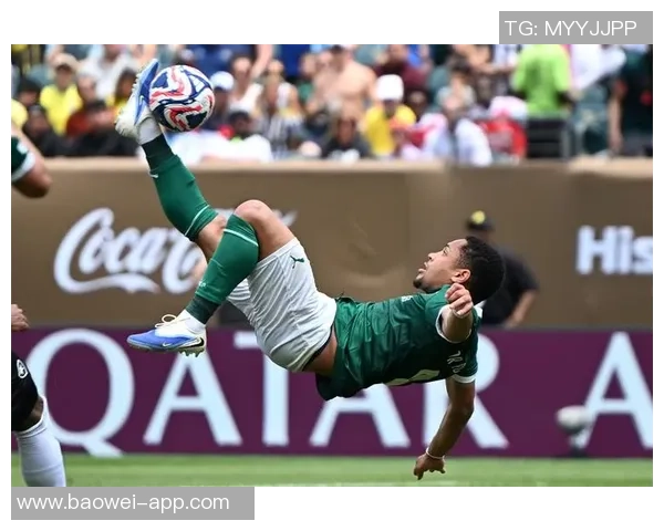 巴西世界杯历史战绩辉煌对阵非洲球队7胜1负的传奇之路