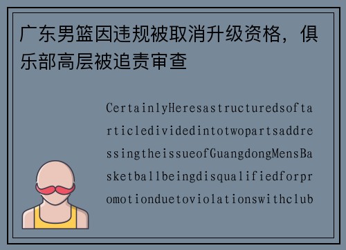 广东男篮因违规被取消升级资格，俱乐部高层被追责审查